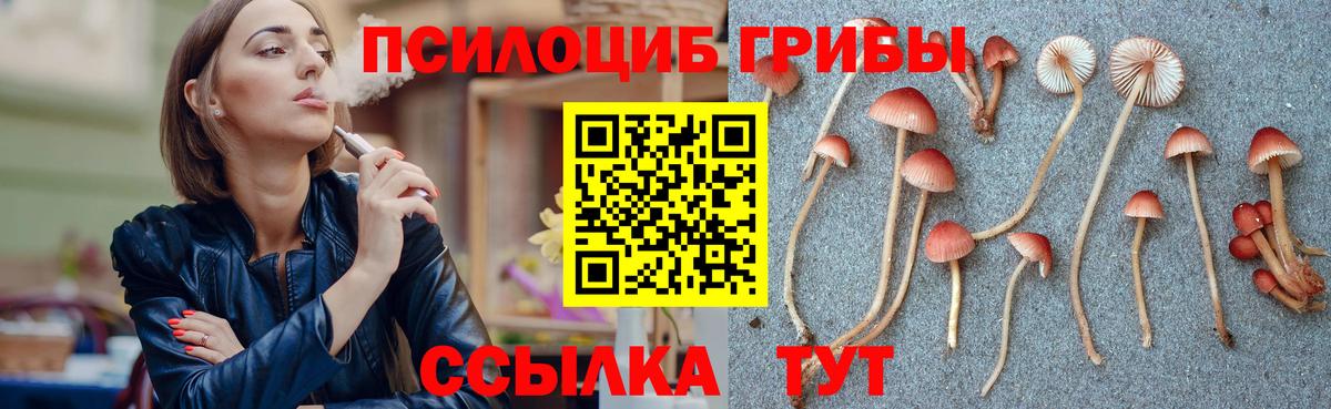 Псилоцибиновые грибы Magic Shrooms Ишимбай